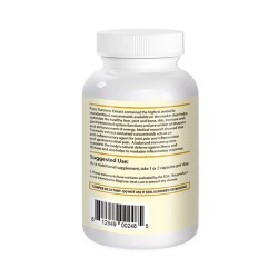 Pure Turmeric Extract Pure Turmeric Extract